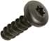 Picture of Pan head torx screw for attaching brow shell ( 1