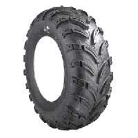 Picture of Swamp Fox 10" lifted cart tyre