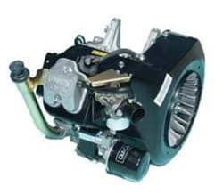 Picture for category Motors (Petrol) & parts