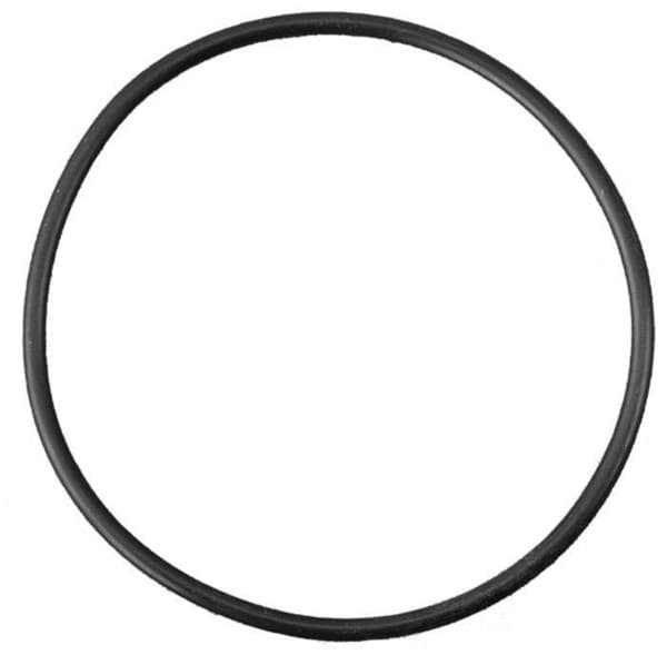Picture of O-Ring seal