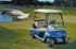Picture of 2006 - Club Car DS - G&E (102907601), Picture 1