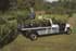 Picture of 1999 - Club Car, Carryall 1, Carryall 2, Carryall Turf 2, Carryall 2 plus, Carryall 6 - Electric & Gasoline (101993902), Picture 1