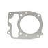 Picture of Gasket, Head Ex40, Picture 1